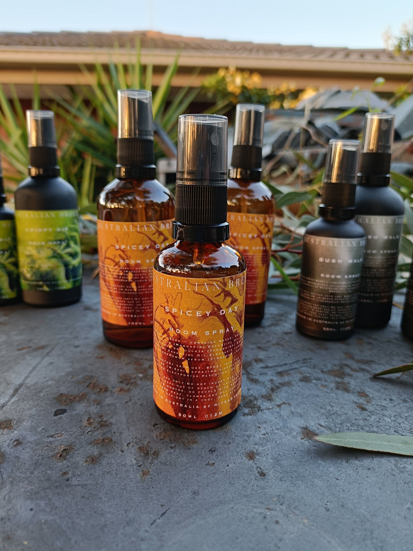 Room Spray Spicey Day